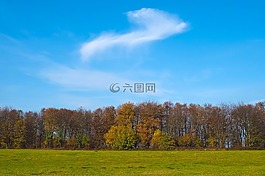 秋季,性質(zhì),樹(shù)木