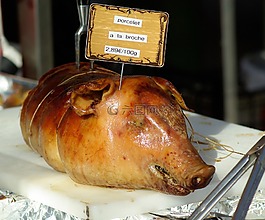 法國,豬肉,小豬