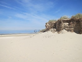 沙,沙丘,海灘