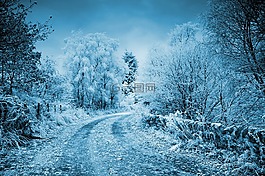 冬天,弗羅斯特,雪