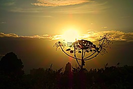 日落,傍晚的天空,晚上