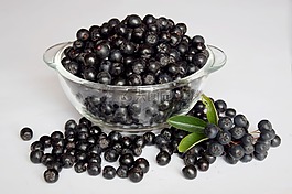 黑,水果,天然食品