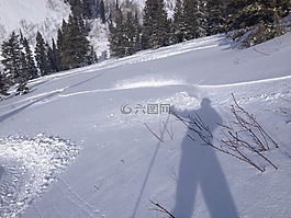 滑雪,雪,粉