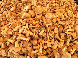蘑菇,chanterelles,食品