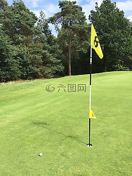 高爾夫,高爾夫球場,體育