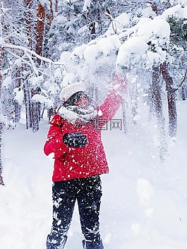 冬天,雪,冷