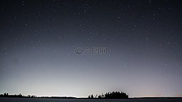 樹,松,自然