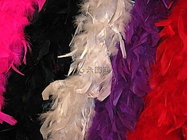 采購產(chǎn)品圍巾,嘉年華披肩,羽毛披肩
