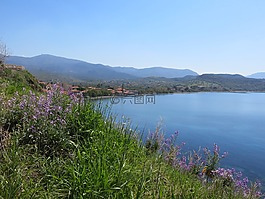 molivos,海岸,海