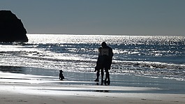 海洋,海灘,水