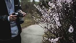 人,男子,家伙