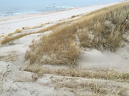 海灘,海,沙