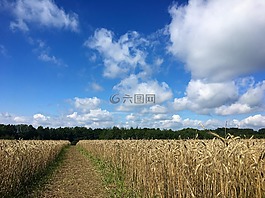 原野,射線,天空