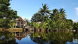 海灘,夏天,大自然