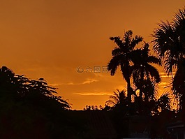 日落,異國情調(diào),佛羅里達(dá)