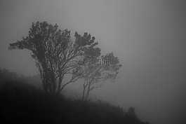 霧,景觀,對(duì)比