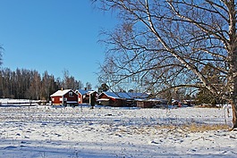 雪,冬天,冷