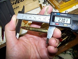 野貓,口徑,ar15