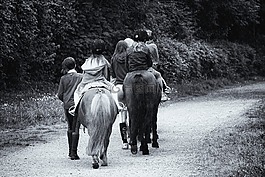 長廊,馬,車手
