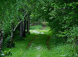 瑞典,夏天,kinnekulle