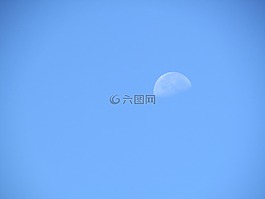 月亮,天空,夏季