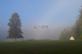 原野,薄霧,上午