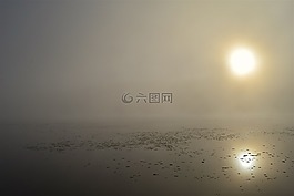 太陽,湖,薄霧