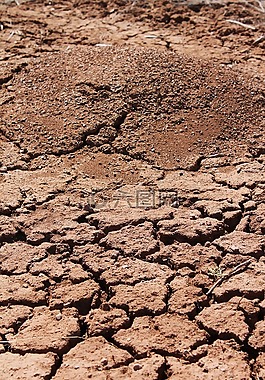 螞蟻山,破解地球,地面