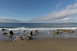 沖浪,海灘,海洋