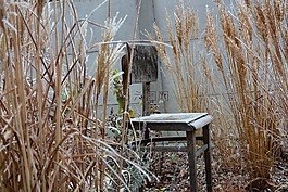 冬天,椅子,霜