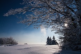 雪,冬天,白