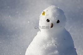 雪人,雪,冬天