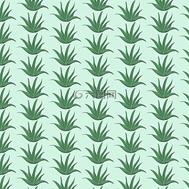 蘆薈,植物,模式