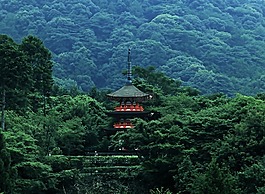 寶塔,日本,森林