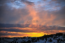 山,雪,松