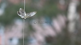 散景,蝴蝶,windspiel