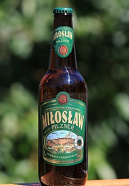 啤酒,麥酒,miloslaw