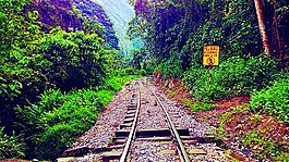 路徑,火車,目的地