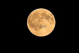 所有,明星,活