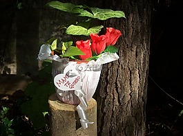 花盆,禮品,母親節(jié)