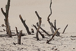 景观,全景,沙丘景观
