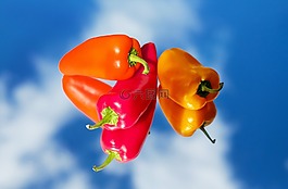 辣椒粉,蔬菜,紅色