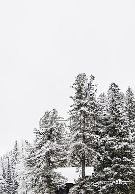 湖misurina,雪,圣诞节