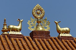 廟,屋頂,黃金