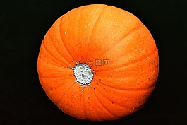 南瓜,蔬菜,食品