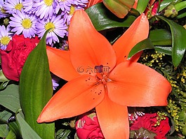 百合,花,花束
