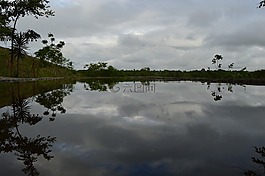 性質(zhì),巴西,池