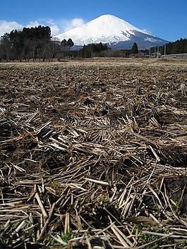 富士山,字段,冬季