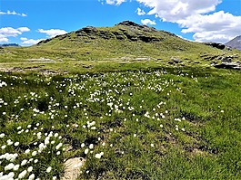 性質(zhì),景觀,山