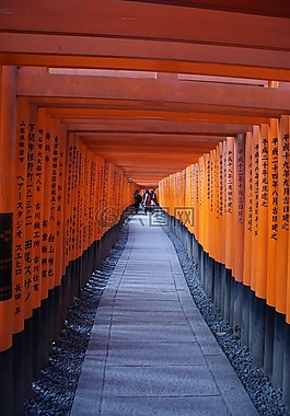 離,目標(biāo),旅行